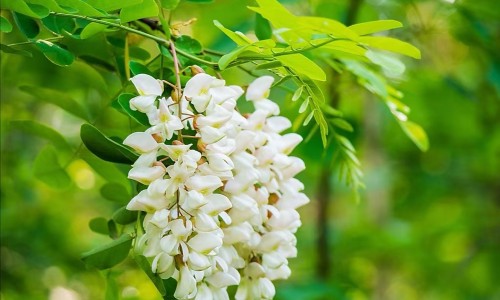 疼爱和感情一样吗-权威感情中心疼是什么感觉平台,分享专业情感上的痛苦知识_感情痛和疼的区别网