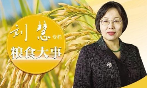情感痛苦与难受的分析-权威感情中心疼是什么感觉平台,分享专业情感上的痛苦知识_感情痛和疼的区别网