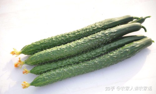 疼爱和感情一样吗-权威感情中心疼是什么感觉平台,分享专业情感上的痛苦知识_感情痛和疼的区别网