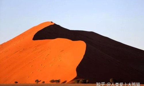 感情疼苦的图片伤感-权威感情中心疼是什么感觉平台,分享专业情感上的痛苦知识_感情痛和疼的区别网